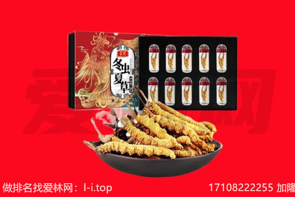 德阳市回收虫草.jpg
